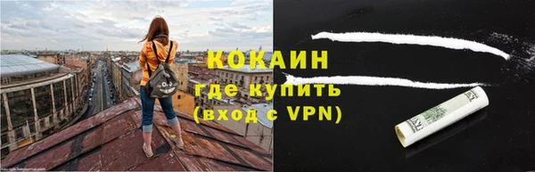 индика Алексеевка